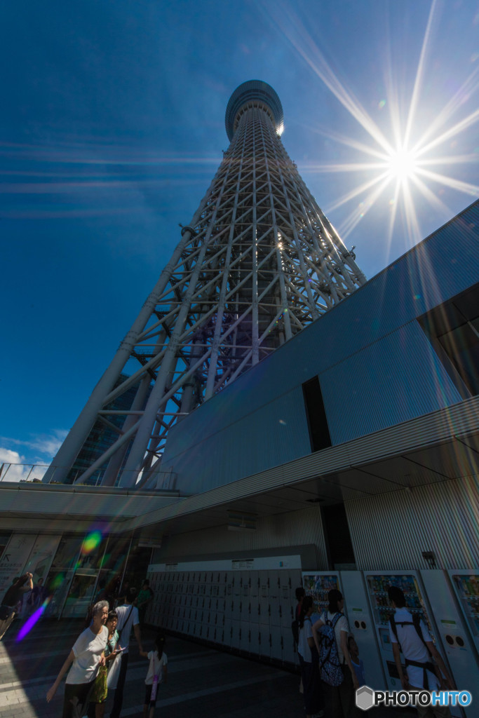 太陽より高く