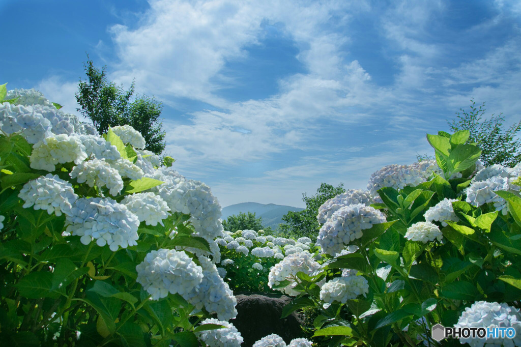 夏の始まり