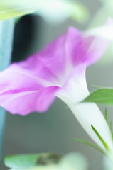 おはよう夏休み！