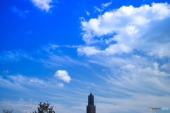 SKY BLUE