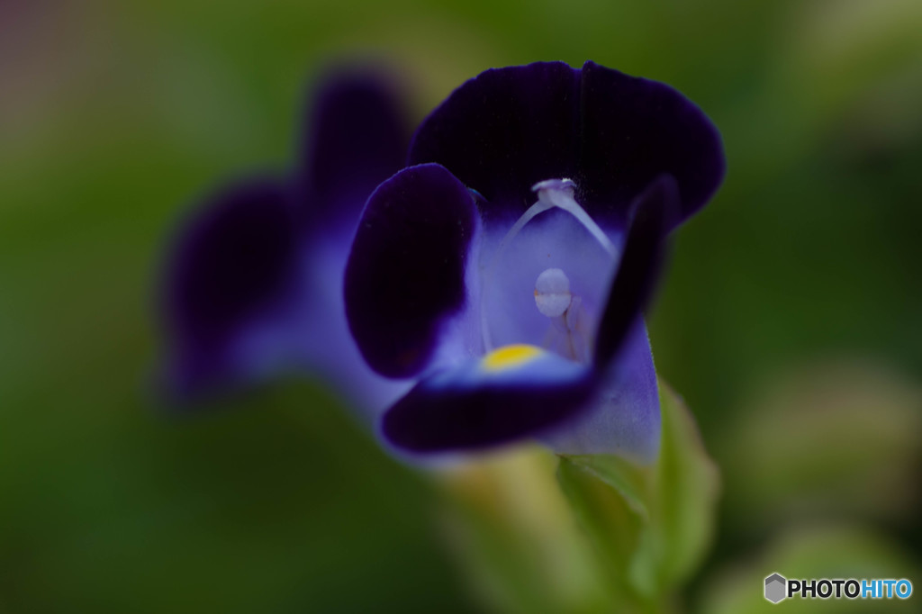 手をつなごう！