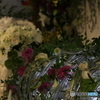 花の舞