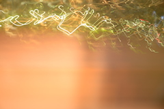 夜光
