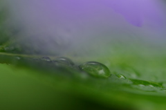 雨降り