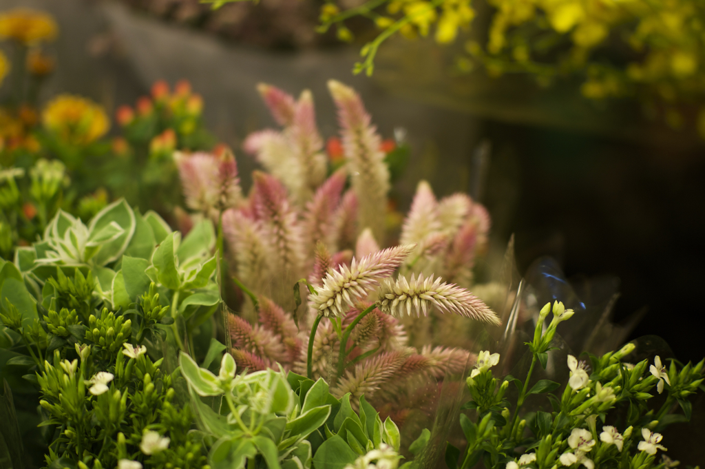 flower market in Shanghai