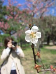 IMG_0805