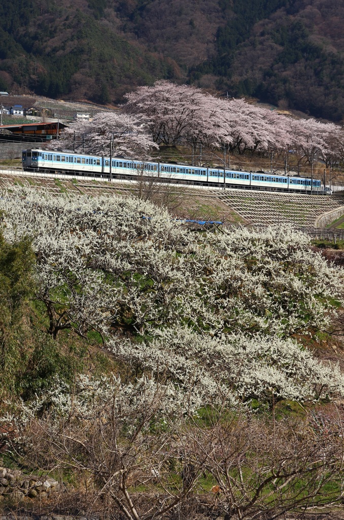 花道