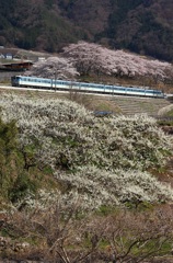 花道