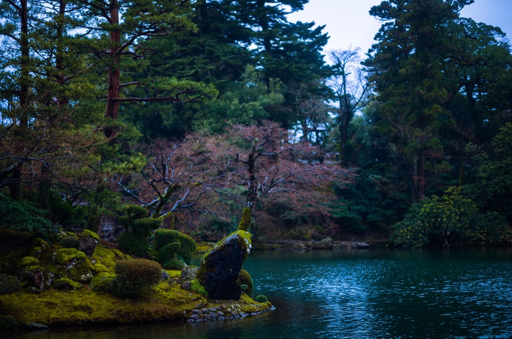 初めての兼六園
