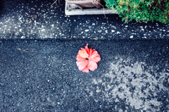 DSCF0257