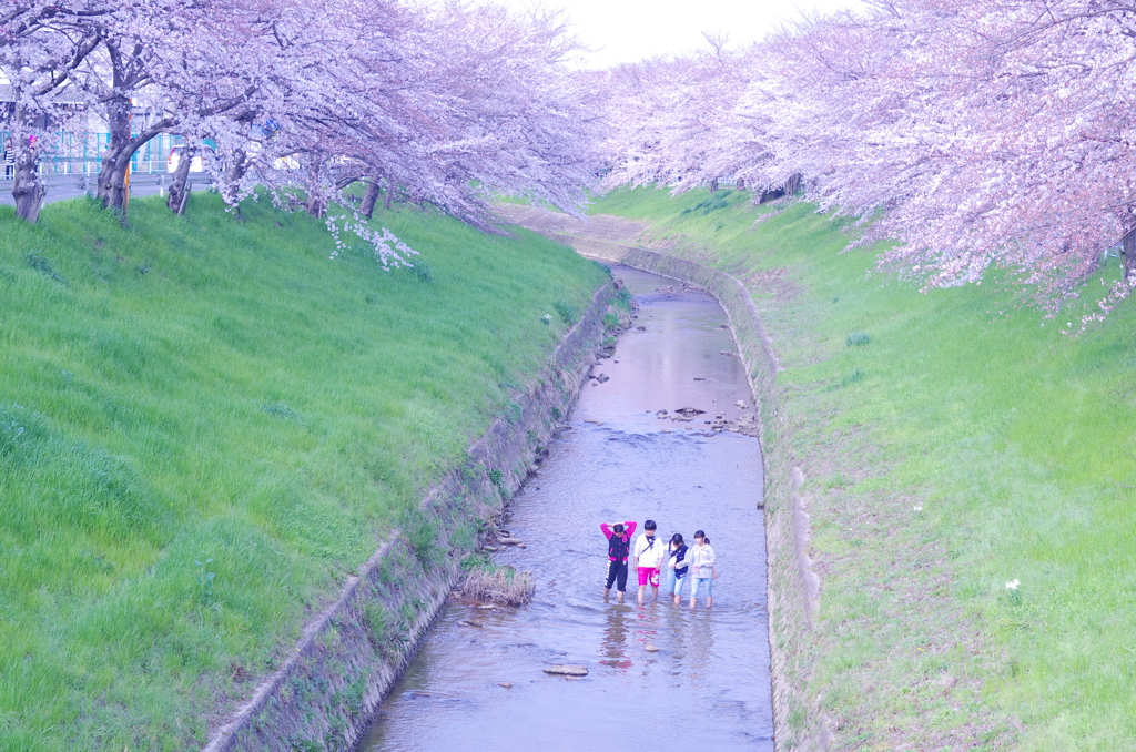 心地よい風に触れながら、、