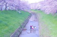 心地よい風に触れながら、、