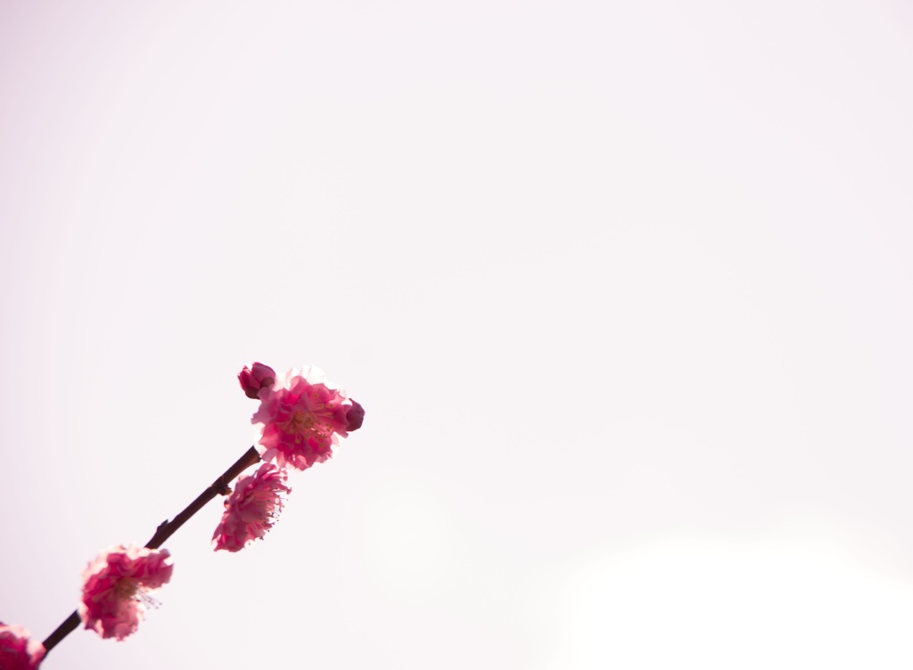 春
