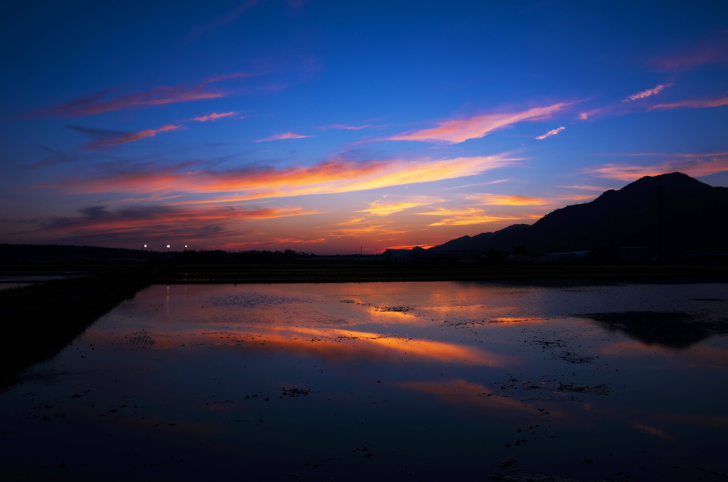 夕焼け