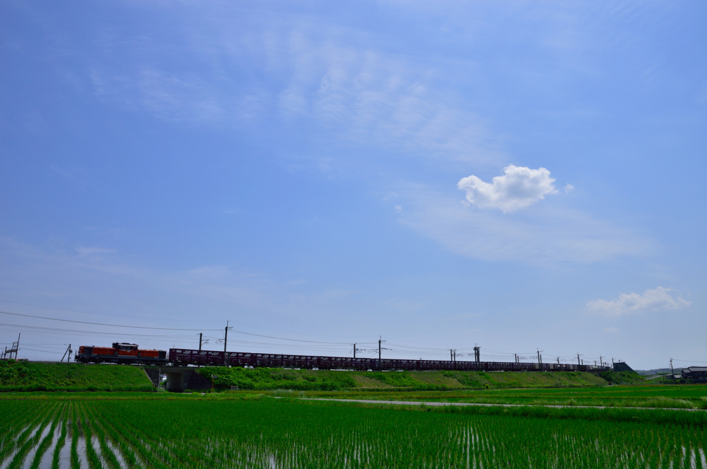 田植え終了