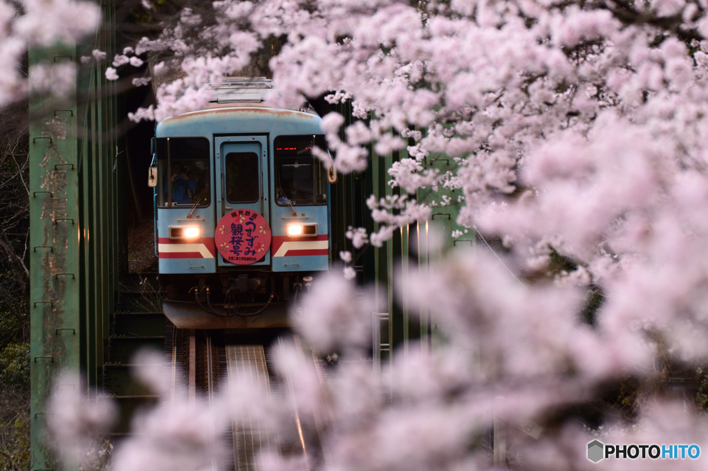 日当駅の春 By Ef38 みや Id 写真共有サイト Photohito