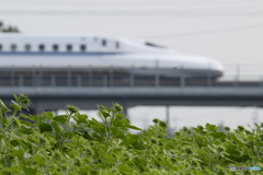 まもなく