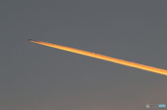 輝く飛行機雲