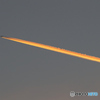 輝く飛行機雲