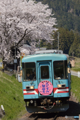 満開の出発