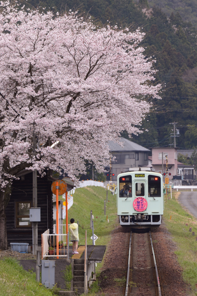 リベンジの春