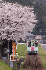 リベンジの春