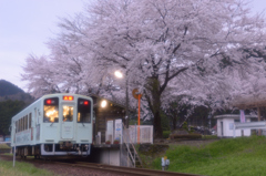 満開の高科駅