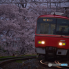 濡れ桜