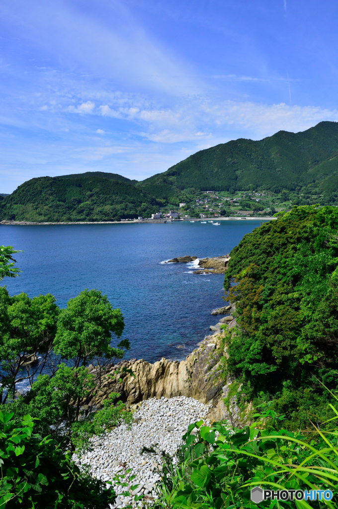 新鹿の海