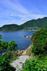 新鹿の海