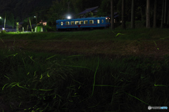 雨の夜