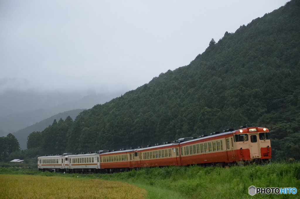 朝の5連は雨の中