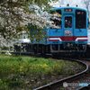 The end of spring