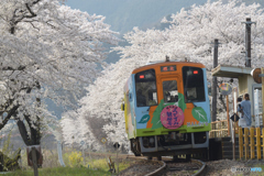 木知原の春