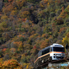 秋の高山線