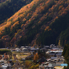 秋の山間をゆく