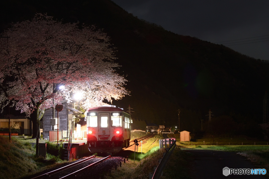 ～ 春 ～ 高科の夜