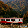 秋の樽見鉄道