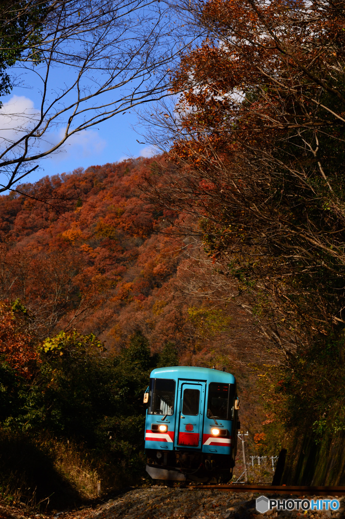 晩秋の樽見鉄道