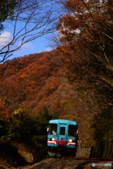 晩秋の樽見鉄道