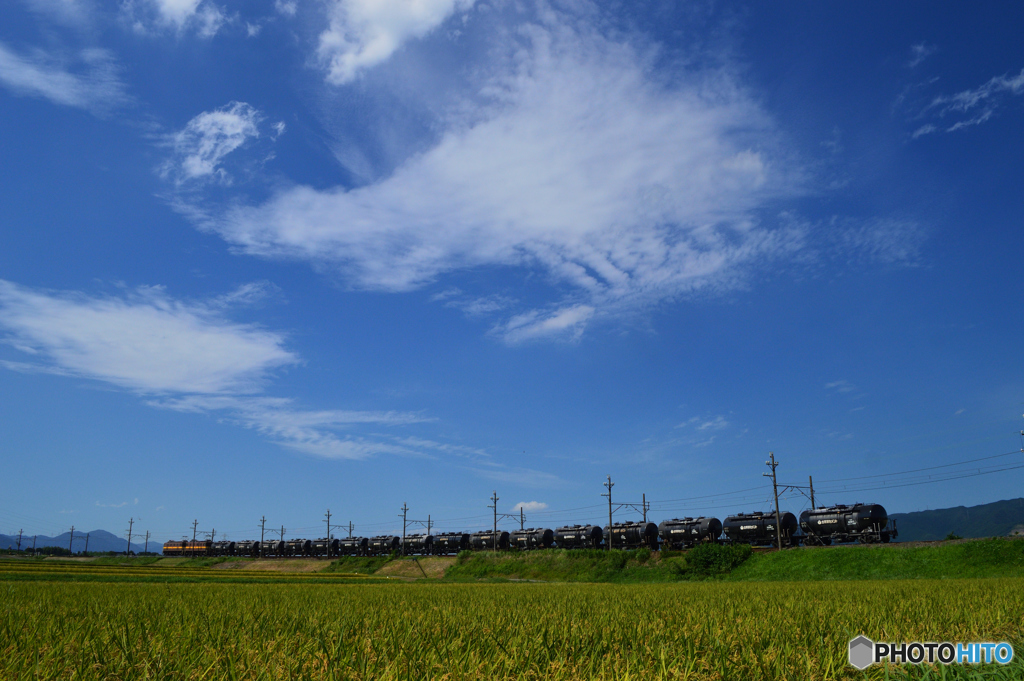 タキが行く秋の空