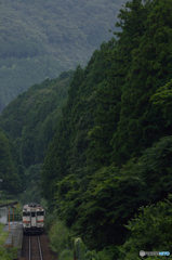 緑に囲まれて