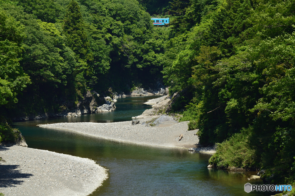 根尾川を行く