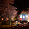夜桜の樽見鉄道
