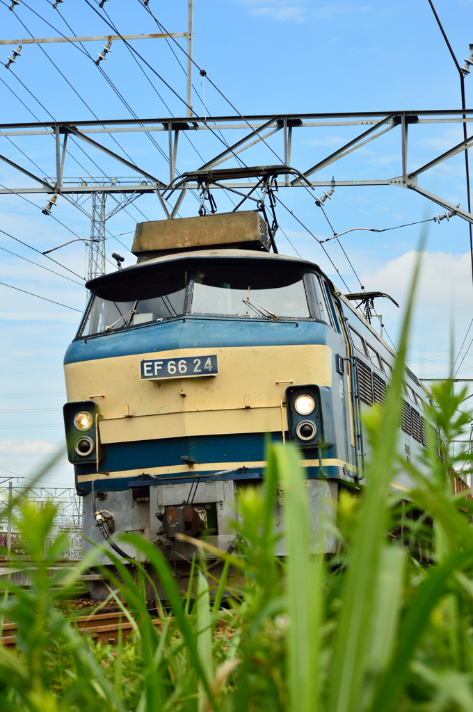 EF66-24