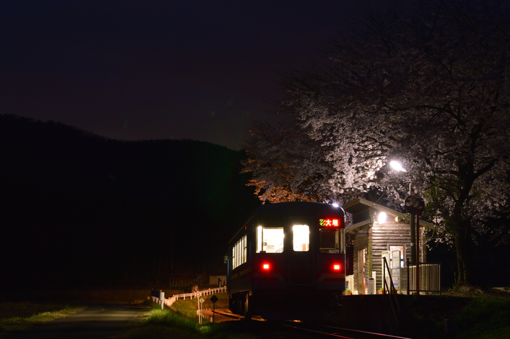 夜桜鉄道