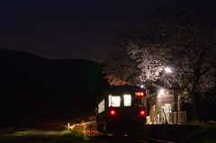 夜桜鉄道