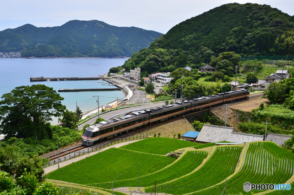 今後の行く末は