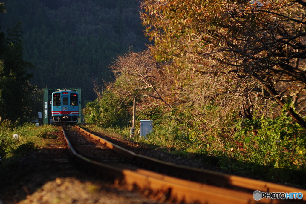 自作レンズ 185mm f3.4