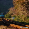 自作レンズ 185mm f3.4